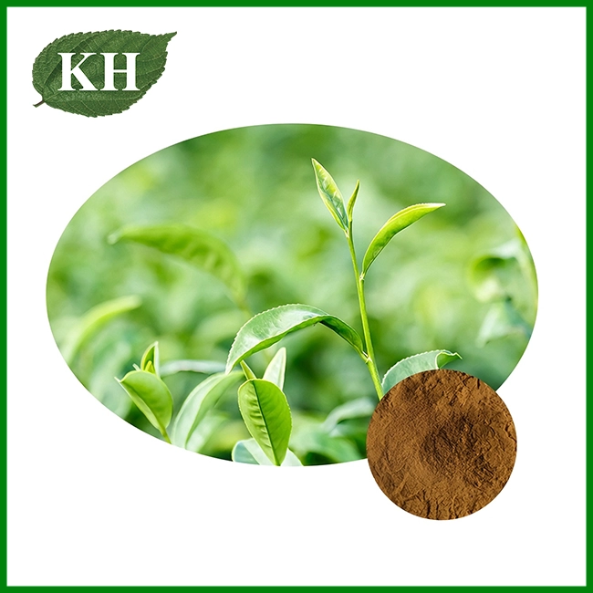 Green Tea Extract Green Tea Extract